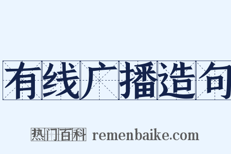 有线广播造句是什么意思的图片